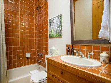 Steamboat Springs Home 927254