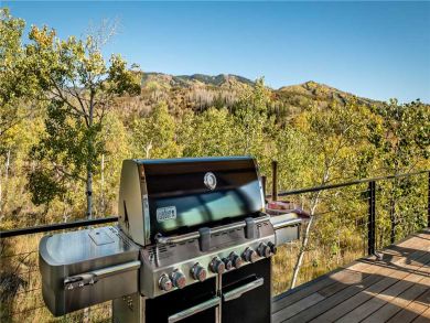 Steamboat Springs Home 927263