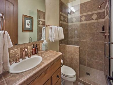 Steamboat Springs Home 927272