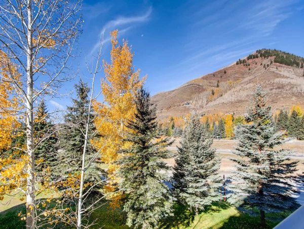 Luxury Vail Condo with Fireplace, Hot Tubs, and Ski Storage