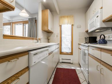 Snowmass Condo 927291
