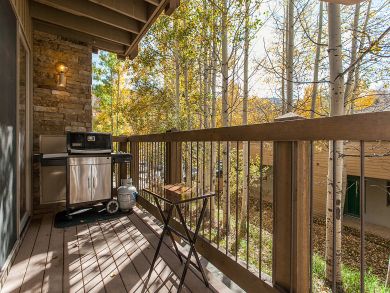 Snowmass Condo 927291