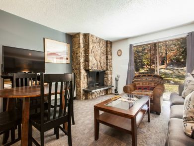 Snowmass Condo 927295