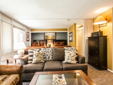 Snowmass Condo 927295