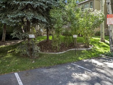 Aspen Condo 927296