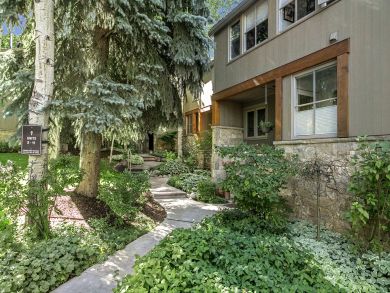 Aspen Condo 927296