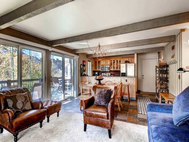Snowmass Condo 927297