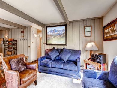 Snowmass Condo 927297