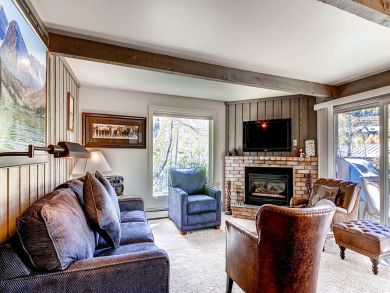 Snowmass Condo 927298