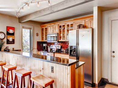 Snowmass Condo 927298