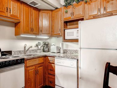 Snowmass Condo 927299