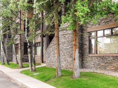 Snowmass Condo 927299