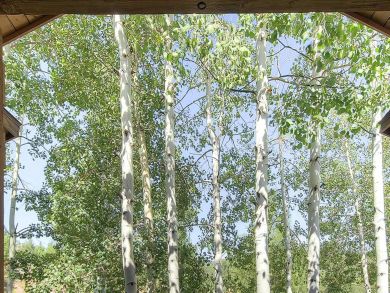 Snowmass Condo 927299