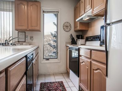Snowmass Condo 927303