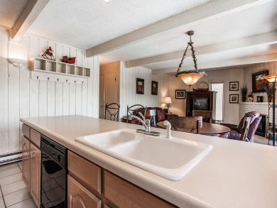 Snowmass Condo 927303
