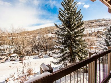 Snowmass Condo 927303