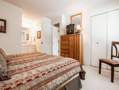 Snowmass Condo 927303