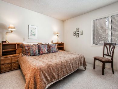 Snowmass Condo 927303