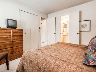 Snowmass Condo 927303