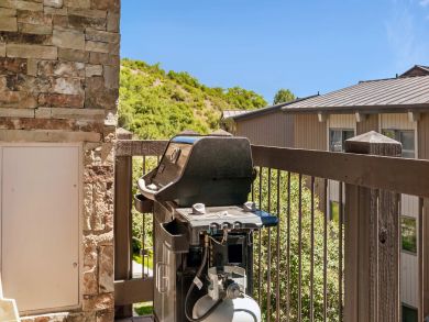 Snowmass Condo 927305