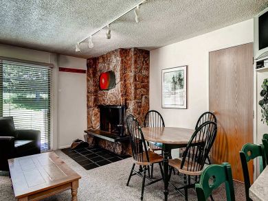 Snowmass Condo 927307
