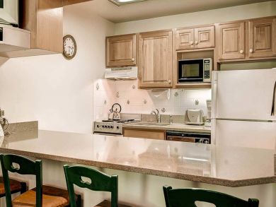 Snowmass Condo 927307