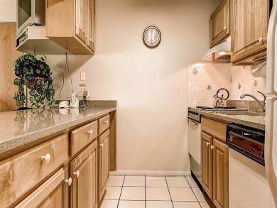 Snowmass Condo 927307