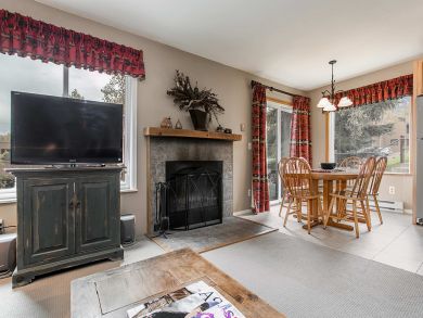 Snowmass Condo 927308
