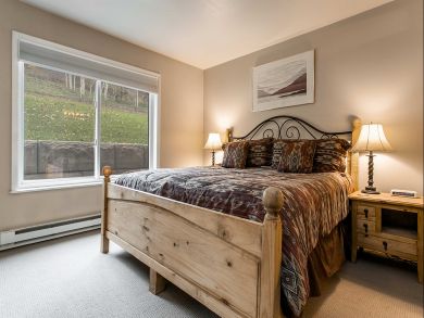 Snowmass Condo 927308