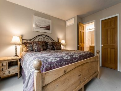 Snowmass Condo 927308