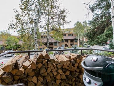 Snowmass Condo 927308