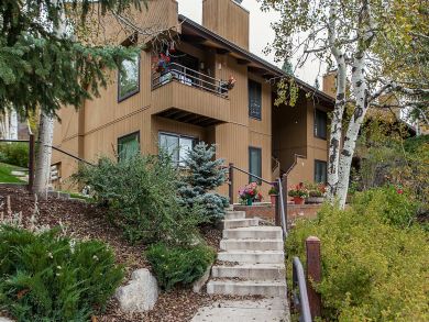 Snowmass Condo 927308