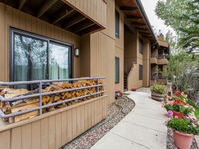 Snowmass Condo 927308