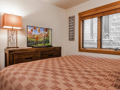 Snowmass Condo 927309