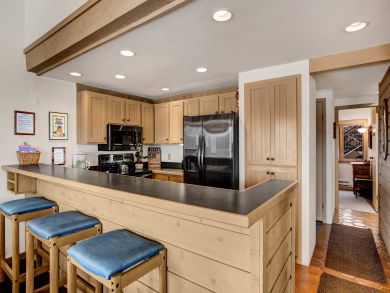 Snowmass Condo 927313