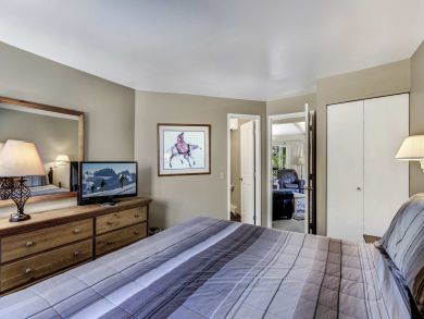 Snowmass Condo 927314