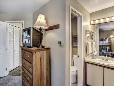 Snowmass Condo 927314