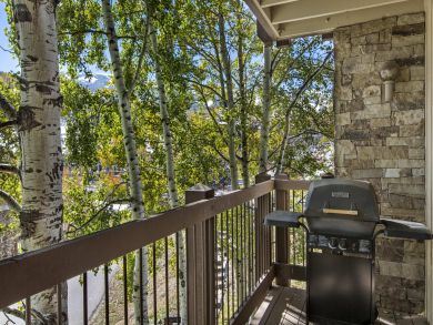 Snowmass Condo 927314