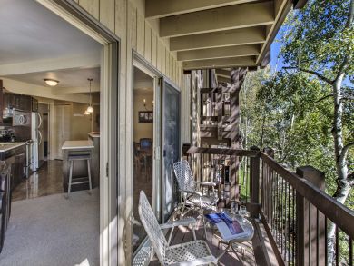 Snowmass Condo 927314
