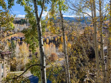 Snowmass Condo 927314