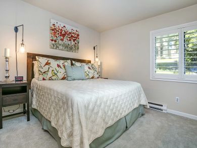 Snowmass Condo 927316