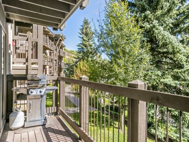 Snowmass Condo 927316
