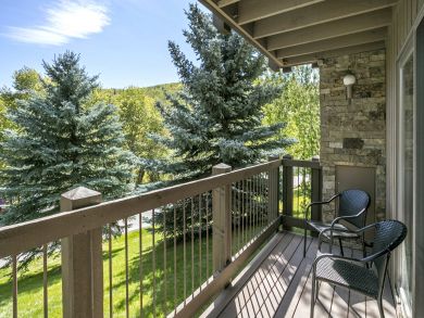 Snowmass Condo 927316