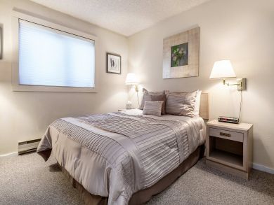 Snowmass Condo 927317