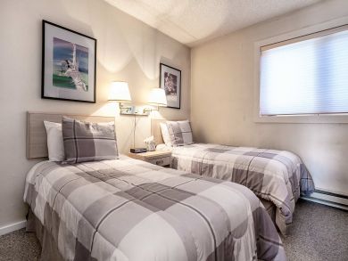Snowmass Condo 927317