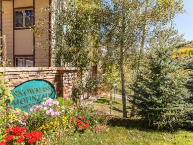 Snowmass Condo 927317