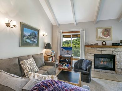 Snowmass Condo 927318