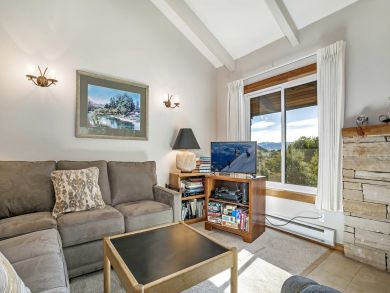 Snowmass Condo 927318
