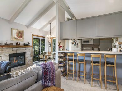 Snowmass Condo 927318