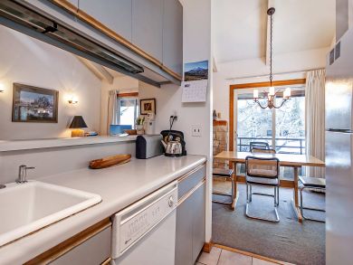 Snowmass Condo 927318